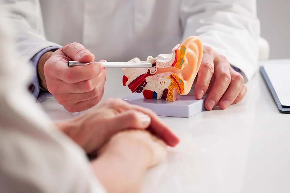 A doctor uses a pen to point at a model of a human ear while explaining something to a patient, whose hands are visible in the foreground on the table.