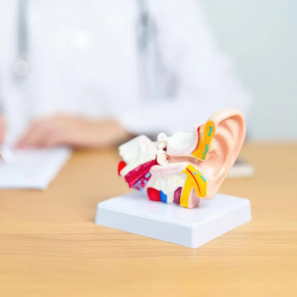 Audio ear shape graphic
